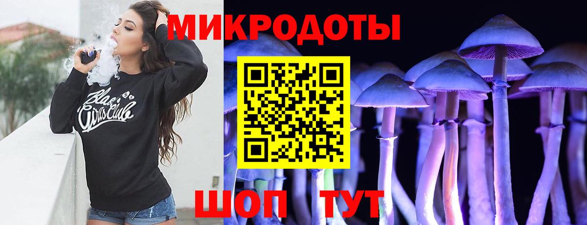 Галлюциногенные грибы Psilocybine cubensis  Вход с VPN  Партизанск 